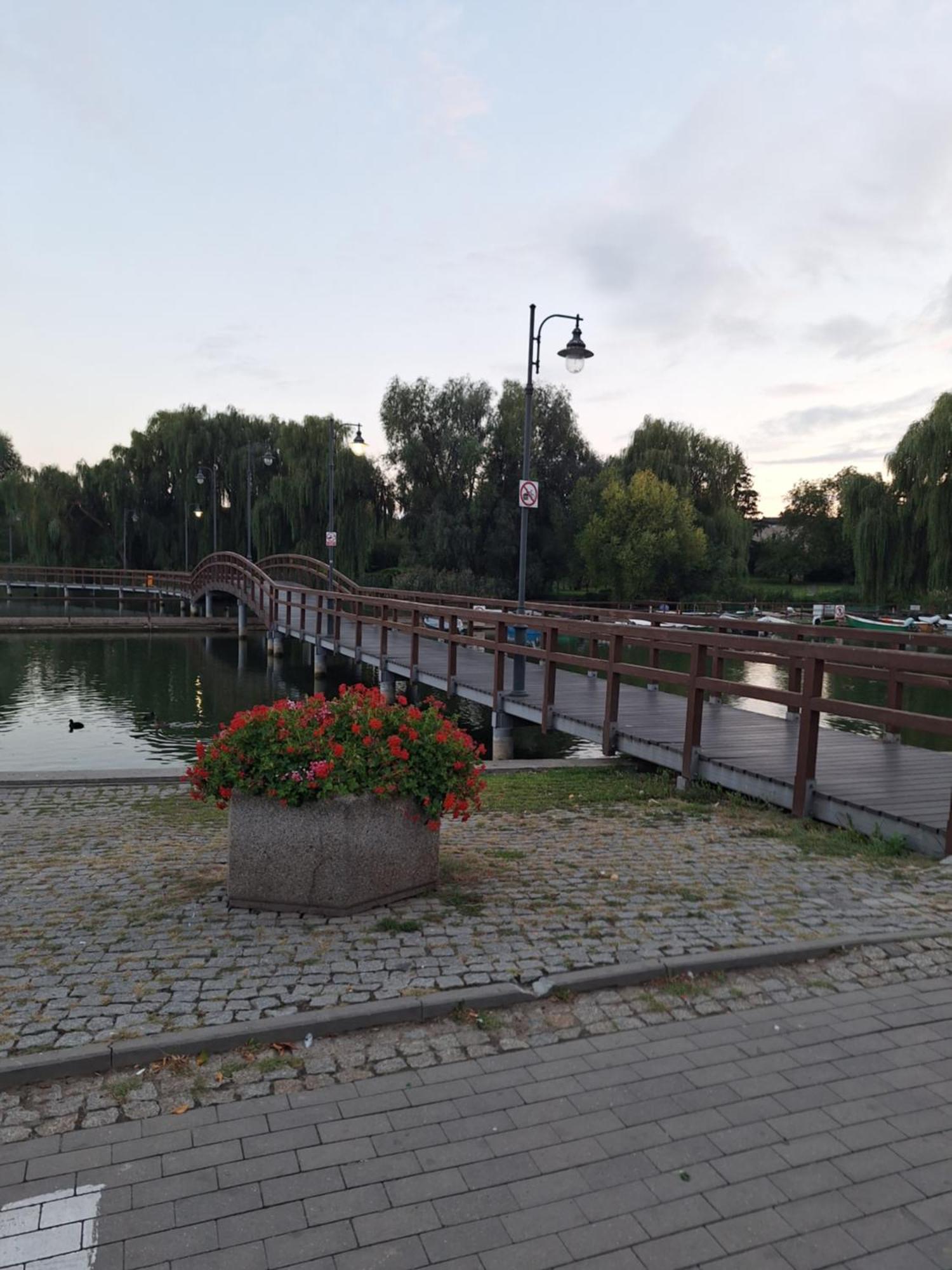 Apartament Chełmża Εξωτερικό φωτογραφία